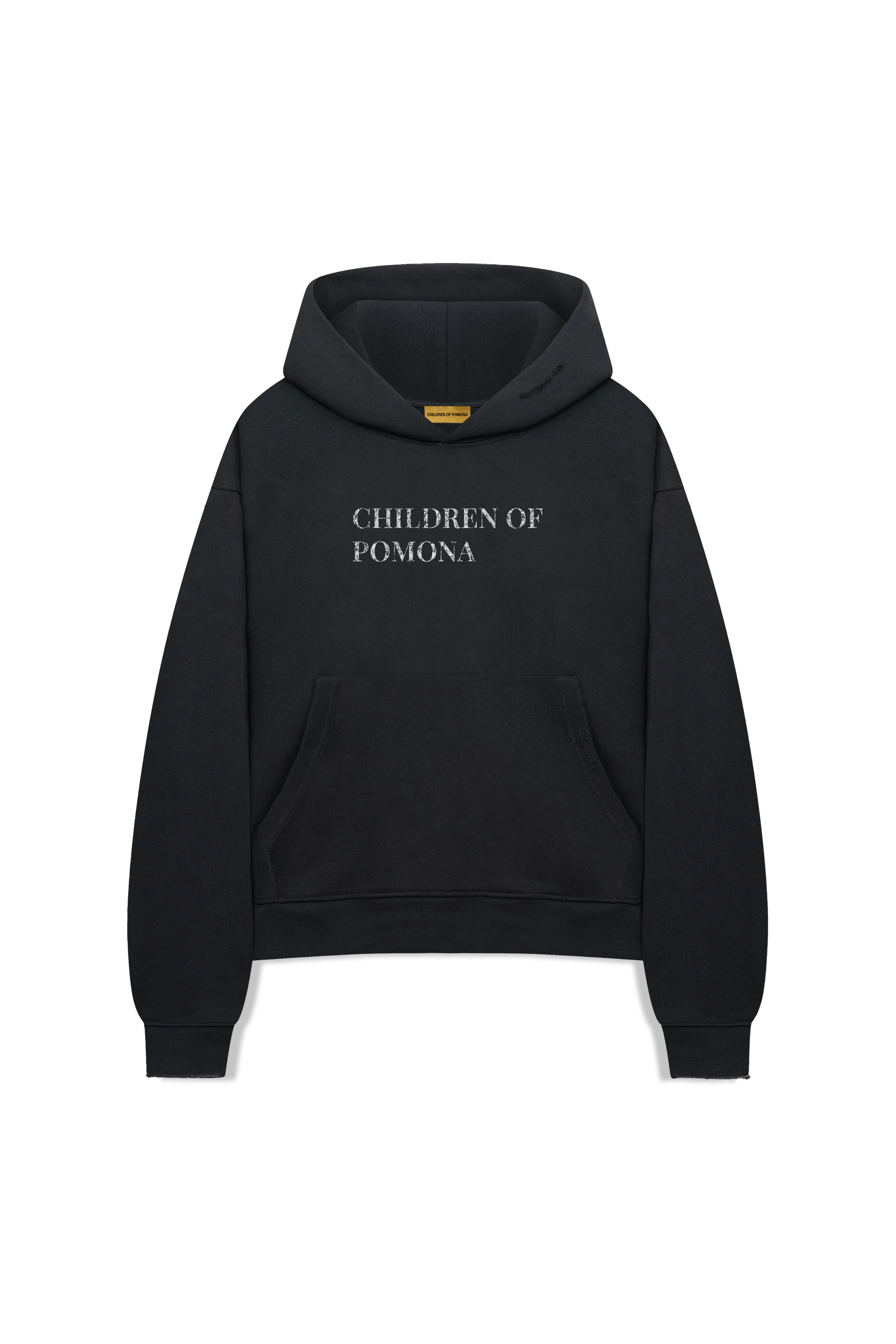 CHILDREN DISTRESSED HOOD