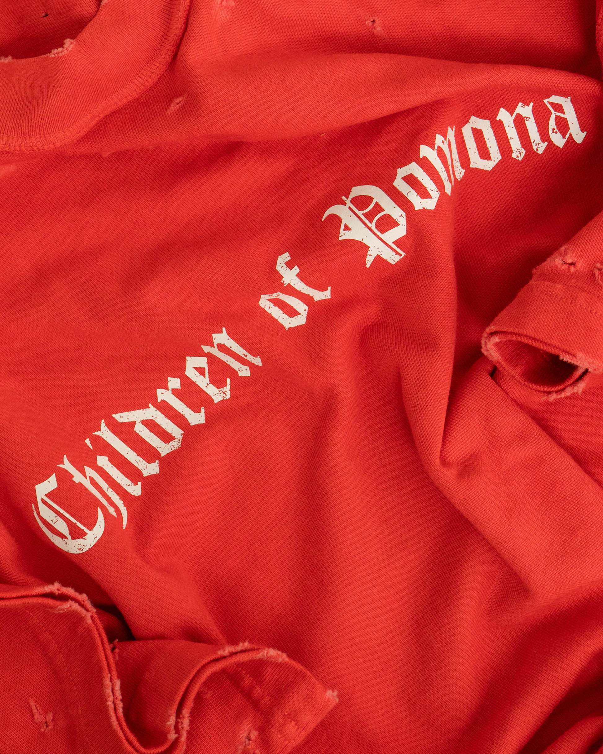 SCARLETT REVERSE TEE